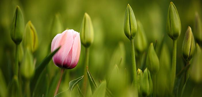 Adam Kıymeti Bilmek Neden Bir Fazilettir?