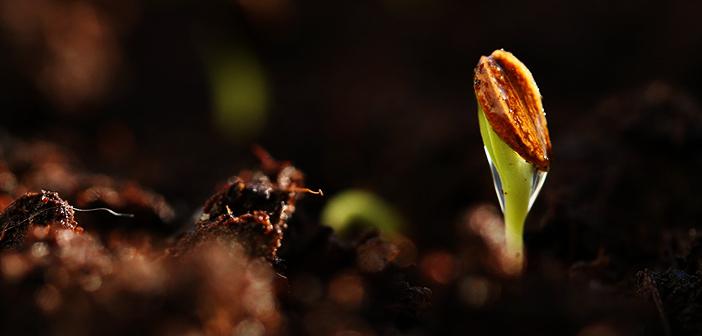 Rahmân Sûresinde Kur’an Neden Yaratılıştan Önce Gelir?